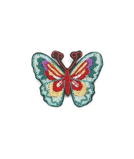 Papillon coloré